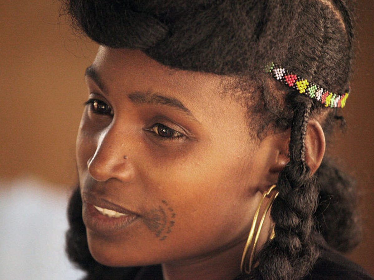 The Art of Nature & The Nature of&nbsp;Art